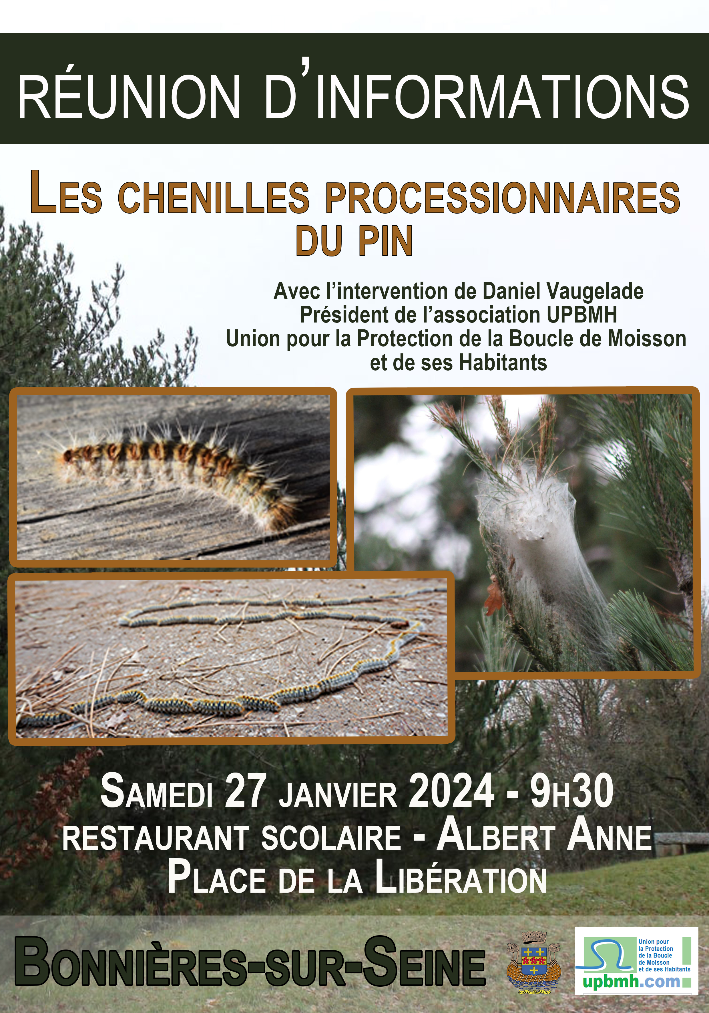 Chenilles processionnaires